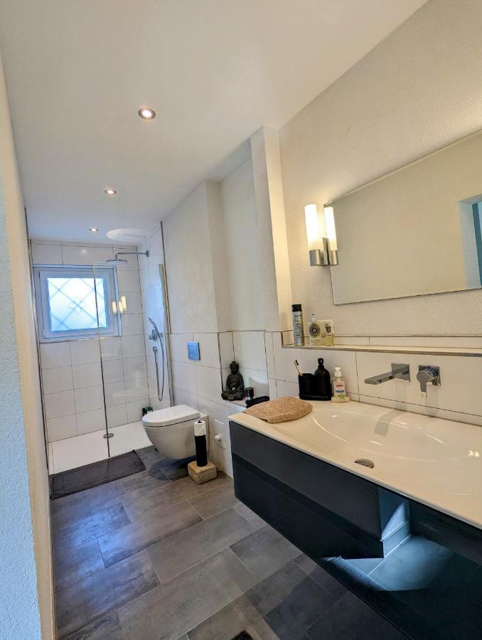 Ferienwohnung Hegau Bodensee Rielasingen-Worblingen المظهر الخارجي الصورة