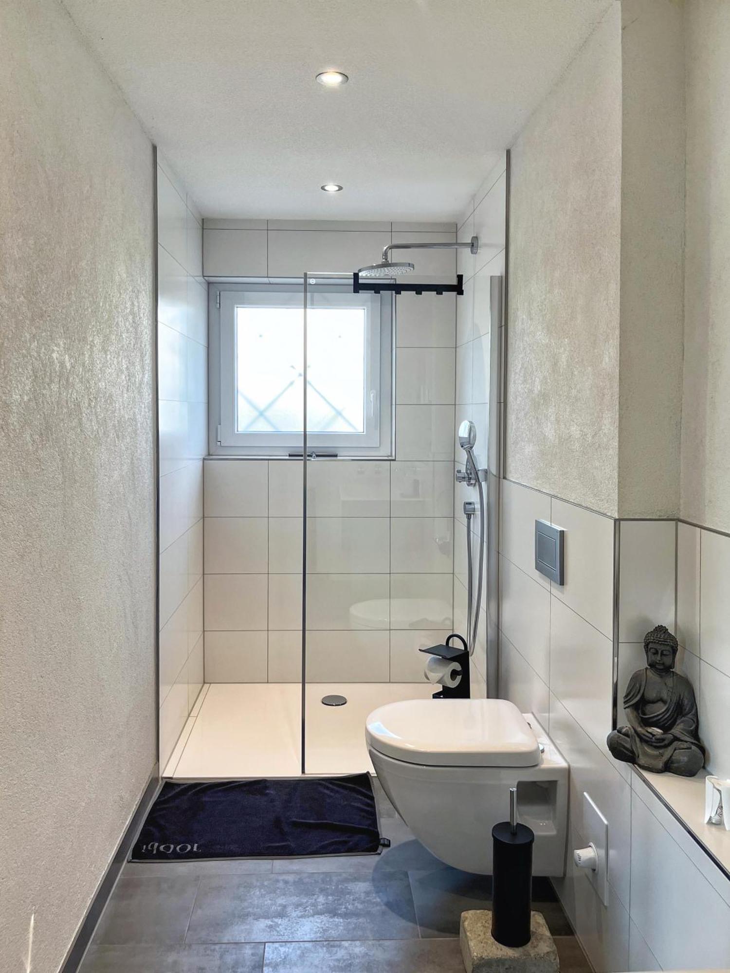 Ferienwohnung Hegau Bodensee Rielasingen-Worblingen المظهر الخارجي الصورة